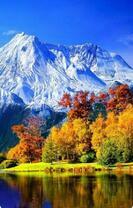 Без бренда «Осенний лес и вид на горы» в Санкт-Петербурге