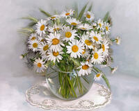 Без бренда «2KMA-0021» в Санкт-Петербурге