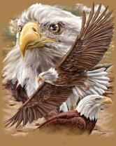 Без бренда «2KMB-4315» в Санкт-Петербурге