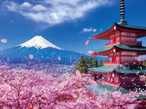 Без бренда «2KSB-7277» в Санкт-Петербурге