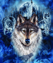 Без бренда «2KXSB-0687» в Санкт-Петербурге