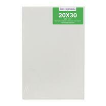 Без бренда «Коробка 80 шт.: Холст Две картинки на подрамнике 20X30» в Санкт-Петербурге