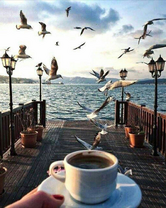 Без бренда «Кофе с видом на чаек (20шт)» в Санкт-Петербурге