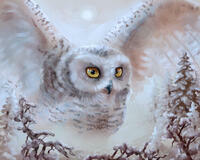 Без бренда «Полярная сова над лесом (20шт)» в Санкт-Петербурге