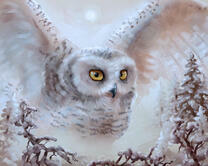 Без бренда «Полярная сова над лесом (20шт)» в Санкт-Петербурге