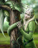 Без бренда «Коробка 20 шт: Дракон и эльф» в Санкт-Петербурге