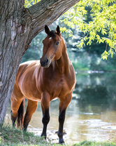 Без бренда «BOX20-2KMB-4594» в Санкт-Петербурге