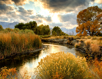 Без бренда «BOX25-GX29355» в Санкт-Петербурге