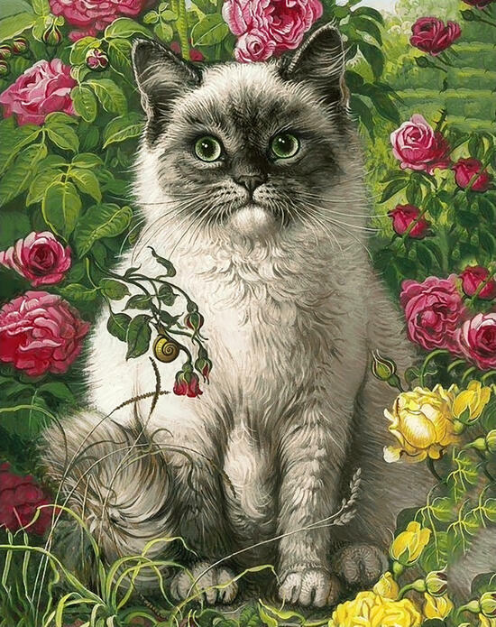 Картина по номерам 40x50 Пушистый серый котик среди роз