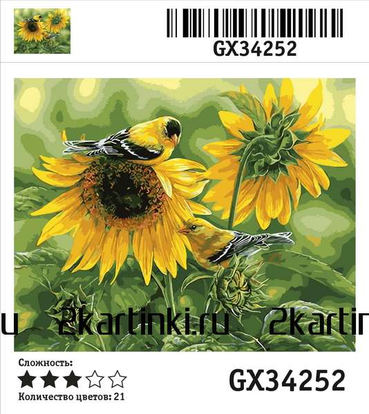 Картина по номерам 40x50 Милая птичка на цветущем подсолнухе