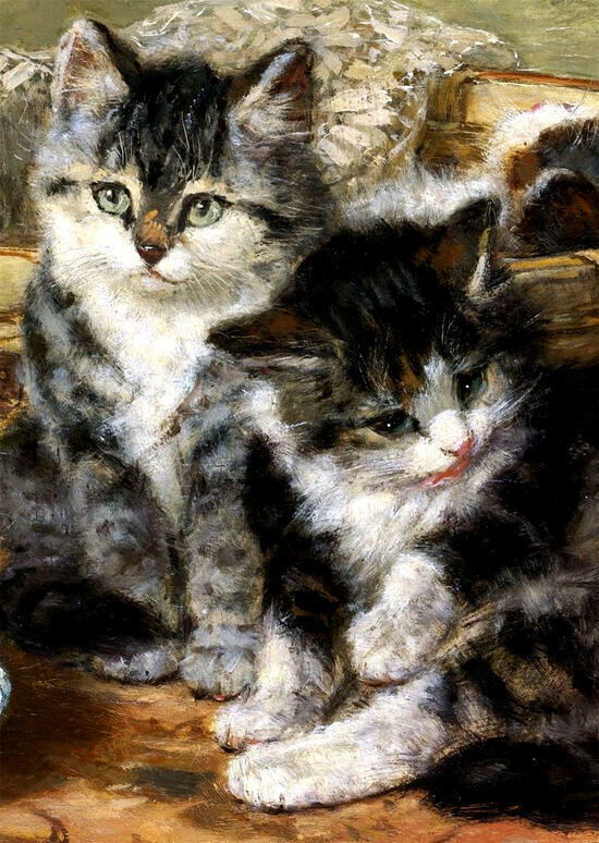 Картина по номерам 40x50 Милые черно-белые котята