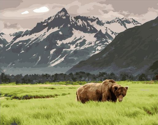 Картина по номерам 40x50 Уставший медведь на фоне гор