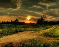 Без бренда «Проселочная дорога на закате» в Санкт-Петербурге