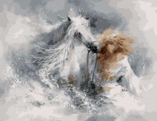 Картина по номерам 40x50 Девушка и лошадь в брызгах воды