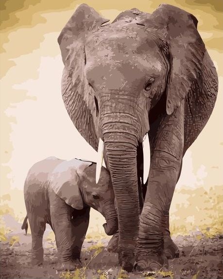 Картина по номерам 40x50 Прогулка слонёнка со слоном
