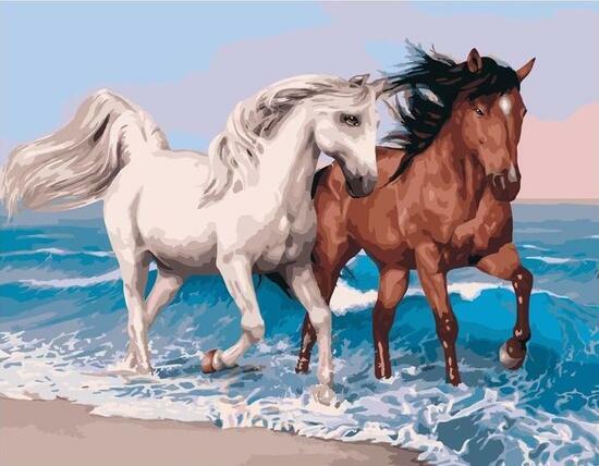 Картина по номерам 40x50 Пара лошадей бегут по морскому берегу