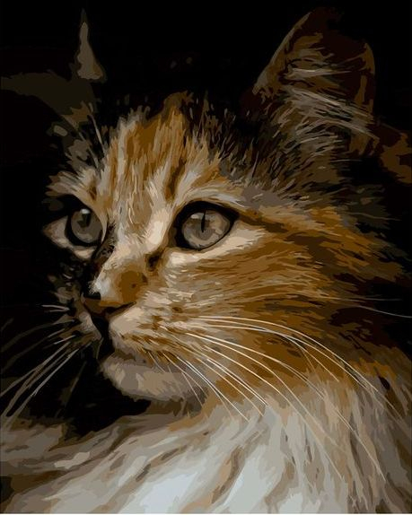Картина по номерам 40x50 Мудрая красивая кошка