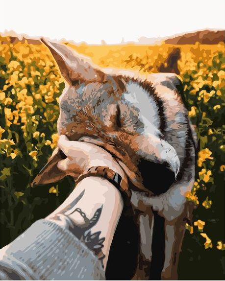 Картина по номерам 40x50 Ласковый пёс на фоне цветущего поля