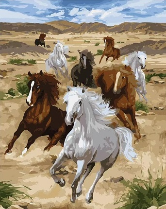 Картина по номерам 40x50 Галоп лошадей по пустыне