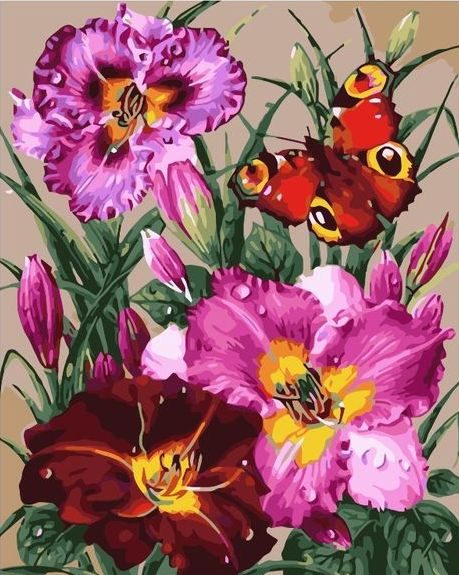 Картина по номерам 40x50 Бабочка на нежных цветах
