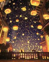 Коты на фоне парада китайских фонариков