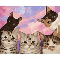 Без бренда «Такие разные котики» в Санкт-Петербурге в интернет-магазине  в Санкт-Петербурге Без бренда «Такие разные котики» в Санкт-Петербурге