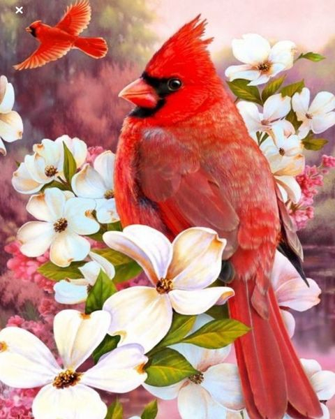 Алмазная мозаика 40x50 Птица красный кардинал на цвету магнолии