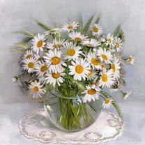 Без бренда «Букет свежих ромашек» в Санкт-Петербурге