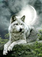 Без бренда «Коробка 25 шт. картин по номерам BOX25-GX21058» в Санкт-Петербурге в интернет-магазине в Санкт-Петербурге Без бренда «Коробка 25 шт. картин по номерам BOX25-GX21058» в Санкт-Петербурге