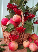 Без бренда «Коробка 25 шт. картин по номерам BOX25-GX5174» в Санкт-Петербурге