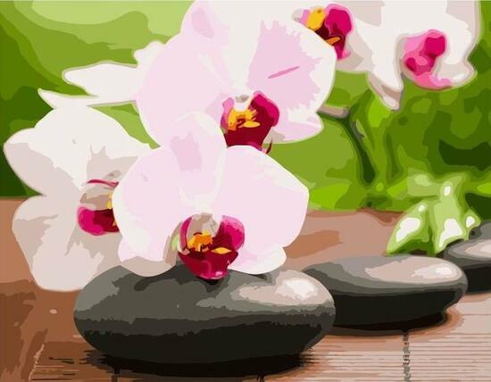 Картина по номерам 40x50 Цвет орхидеи и камни