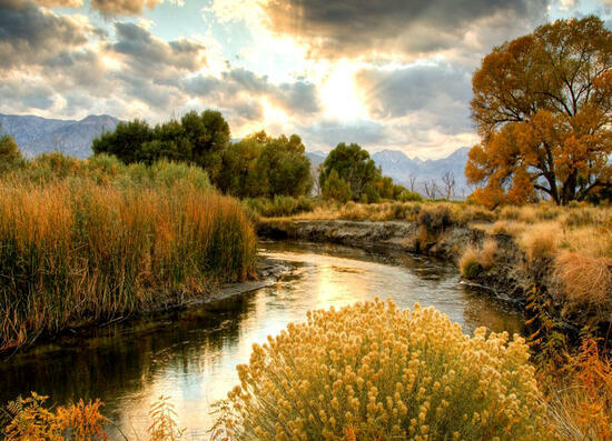 Картина по номерам 40x50 Пейзаж с осенней рекой