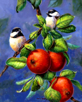 Без бренда «Две синички на яблоках» в Санкт-Петербурге