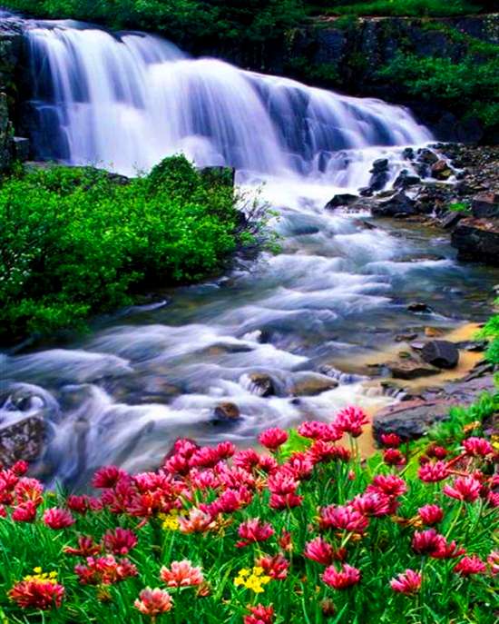 Картина по номерам 40x50 Летний водопад и цветущие тюльпаны