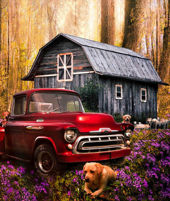 Картина по номерам 40x50 Красный пикап и собаки у домика в лесу