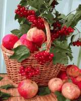 Без бренда «Плетёная корзина с калиной и яблоками» в Санкт-Петербурге