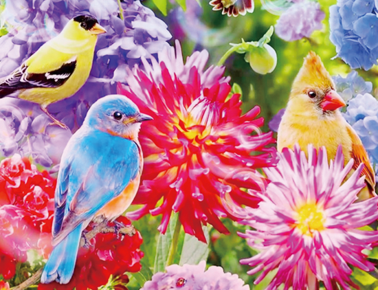 Алмазная мозаика 40x50 Разные птички на разных цветах