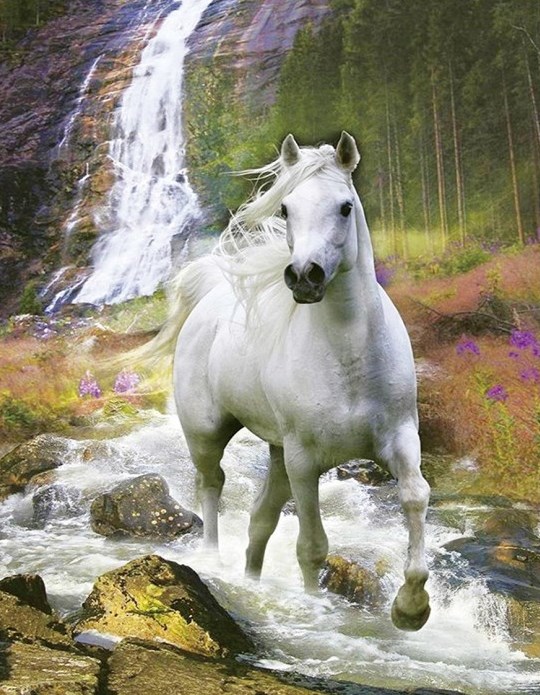 Алмазная мозаика 40x50 Белая лошадь на горной реке