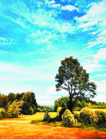 Без бренда «Осенний пейзаж с голубым небом» в Санкт-Петербурге в интернет-магазине  в Санкт-Петербурге Без бренда «Осенний пейзаж с голубым небом» в Санкт-Петербурге