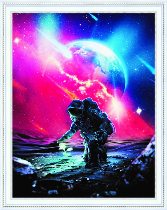 Алмазная мозаика 40x50 Росточек на необитаемой планете