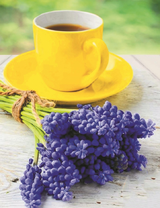 Букетик мускари и чашечка чая