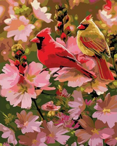 Яркие птички на розовых цветах