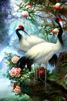 Без бренда «Коробка 25 шт. картин по номерам BOX25-GX29399» в Санкт-Петербурге