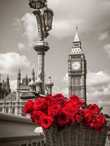 Букет роз на фоне Вестинстерского дворца