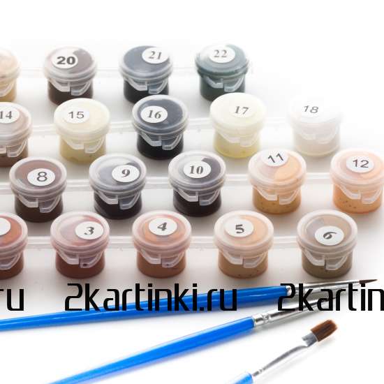 Картина по номерам 40x50 Test4 за 0 руб. в интернет-магазине в Санкт-Петербурге Картина по номерам 40x50 Test4