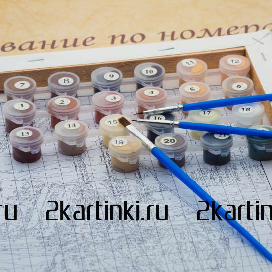 Картина по номерам 40x50 Q5182 Обнаженная девушка и череп за 1050 руб. в интернет-магазине в Санкт-Петербурге Картина по номерам 40x50 Обнаженная девушка и череп