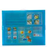 Картина по номерам 40x50 Q5182 Обнаженная девушка и череп за 1050 руб. в интернет-магазине в Санкт-Петербурге Картина по номерам 40x50 Обнаженная девушка и череп