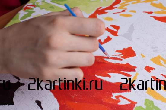 Картина по номерам 40x50 BOX25-GX3223 Коробка 25 шт. картин по номерам BOX25-GX3223 за 11750 руб.  в интернет-магазине  в Санкт-Петербурге Картина по номерам 40x50 Коробка 25 шт. картин по номерам BOX25-GX3223