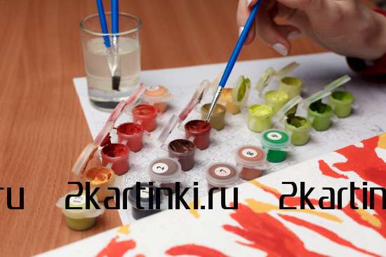 Картина по номерам 40x50 Test4 за 0 руб. в интернет-магазине в Санкт-Петербурге Картина по номерам 40x50 Test4