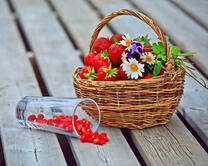 Клубника, цветы и кизил